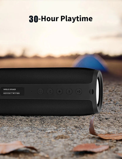 Portable Speaker